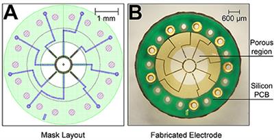 Regenerated Sciatic Nerve Axons Stimulated through a Chronically Implanted Macro-Sieve Electrode